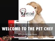 Information Presentation Of pet chef