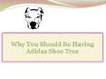Why You Should Be Having Adidas Shoe Tree