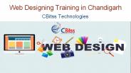Web Designing Training in Chandigarh (8)