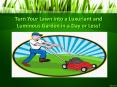 Turn Your Lawn into a Luxuriant and Luminous Garden in a Day or Less! PowerPoint PPT Presentation