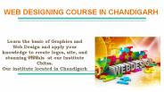 Web Designing course in Chandigarh (1)