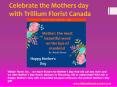 Mothers day with Trillium Florist Canada PowerPoint PPT Presentation