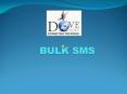 Bulk SMS - Dove Soft PowerPoint PPT Presentation