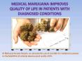 Get Medical clinic forms – Marijuanaaccesscanada PowerPoint PPT Presentation