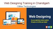 Web Designing training in Chandigarh (9)