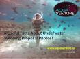 6 Useful Facts About Underwater Wedding Proposal Photos! PowerPoint PPT Presentation