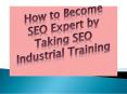 How to Become SEO Expert by Taking SEO Industrial Training PowerPoint PPT Presentation