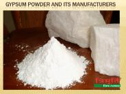 Gypsum Powder and Its Manufacturers