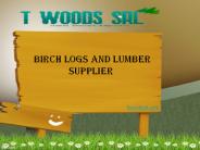 Birch Logs And Lumber Supplier