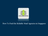 Domestic Maid Services