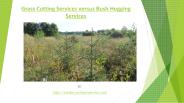 Grass Cutting Services versus Bush Hogging Services