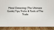 Metal Detection