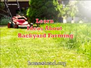 Get All New Backyard Farming Ideas