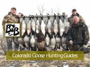 Colorado Goose Hunting Guides