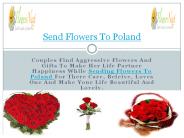 Send Flowers To Poland