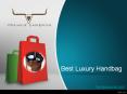 Best Luxury Handbag