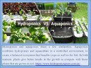 Difference Between Hydroponics and Aquaponics