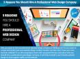 5 Reasons You Should Hire A Professional Web Design Company PowerPoint PPT Presentation