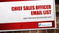Chief Sales Officer Email List | Chief Sales Officer (CSO) Mailing Database PowerPoint PPT Presentation