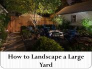 How to Landscape a Large Yard