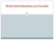 Brief Introduction on Fossils