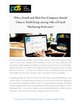 For Email Marketing Campaign- Choose MailChimp PowerPoint PPT Presentation