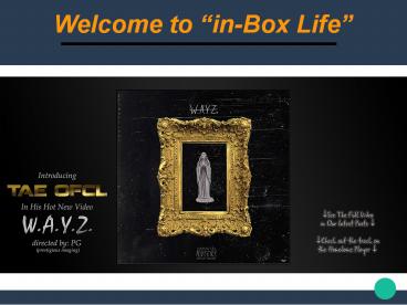 Get Latest Celebrity News And Gossip Updates At in-Box Life