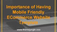 Important To Have Mobile Friendly ECommerce Website Template