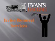 Irvine Removal Services (1)