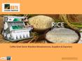 Coffee Seed Sorting Machine Manufacturers PowerPoint PPT Presentation