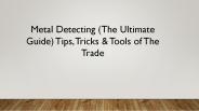 Metal Detector Guru
