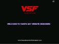 Website Design Services in Tampa - Tampa Bay Website Designer PowerPoint PPT Presentation