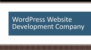 WordPress Development Company - Sara Analytics