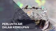 Pentingnya Air Bagi Kehidupan