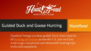 Guided Duck Hunt