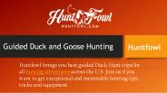 Guided Duck Hunt