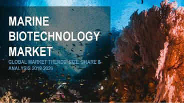 Marine Biotechnology Market Trends, Share, Revenue, Analysis 2018-2026