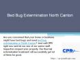 Bed Bug Extermination North Canton PowerPoint PPT Presentation