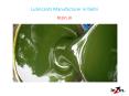 Lubricants Manufacturer in Delhi (2) PowerPoint PPT Presentation