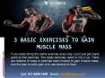 3 BASIC EXERCISES TO GAIN MUSCLE MASS PowerPoint PPT Presentation