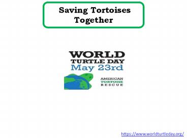 Saving Tortoises Together