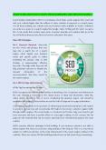 Seo Services in Singapore PowerPoint PPT Presentation