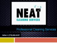 Professional Cleaning Services