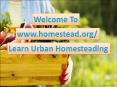 Learn What Is Urban Homesteading & How To Start It PowerPoint PPT Presentation