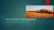 Best Abu Dhabi desert safari