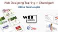 Web Designing Training in Chandigarh (11) PowerPoint PPT Presentation