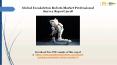 Exoskeleton Robots Market Professional Survey Report 2018 PowerPoint PPT Presentation