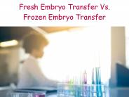 Fresh Embroy Transfer Vs Frozen Embroy Transfer