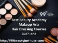 Beauty Courses in Ludhiana- 99 Beauty Institute PowerPoint PPT Presentation