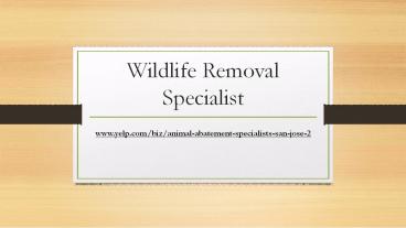 Animal Removal Solutions